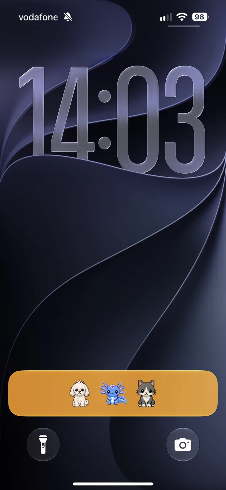 On your Lock Screen
